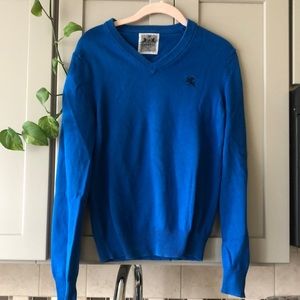 Mens Express V-Neck Sweater